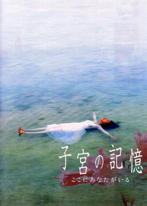 子宫的记忆