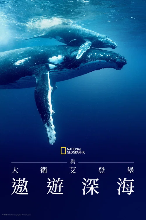 大卫&middot;爱登堡：海洋