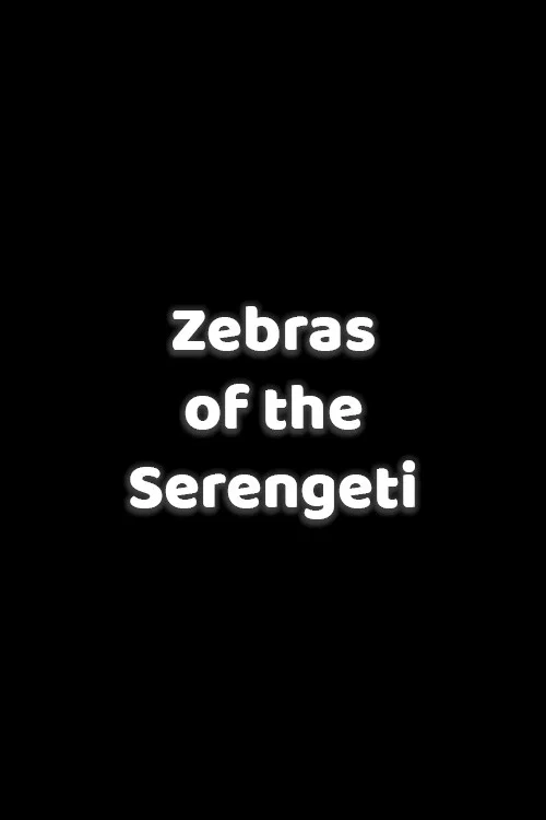 Zebras of the Serengeti
