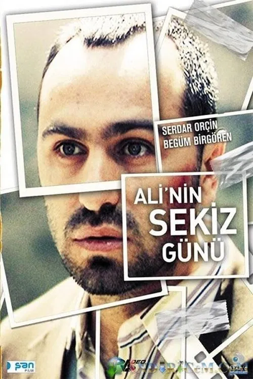 Ali'nin Sekiz G&uuml;n&uuml;
