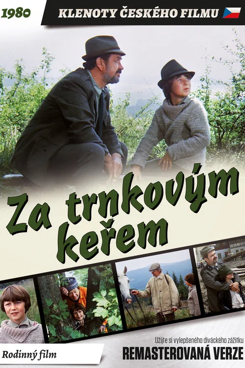 Za trnkov&yacute;m keřem