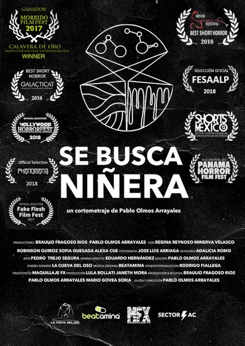 Se Busca Ni&ntilde;era