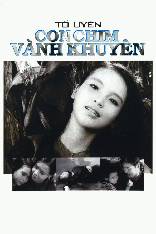 Con chim v&agrave;nh khuy&ecirc;n
