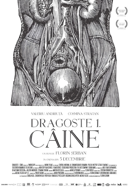 Dragoste 1. C&acirc;ine