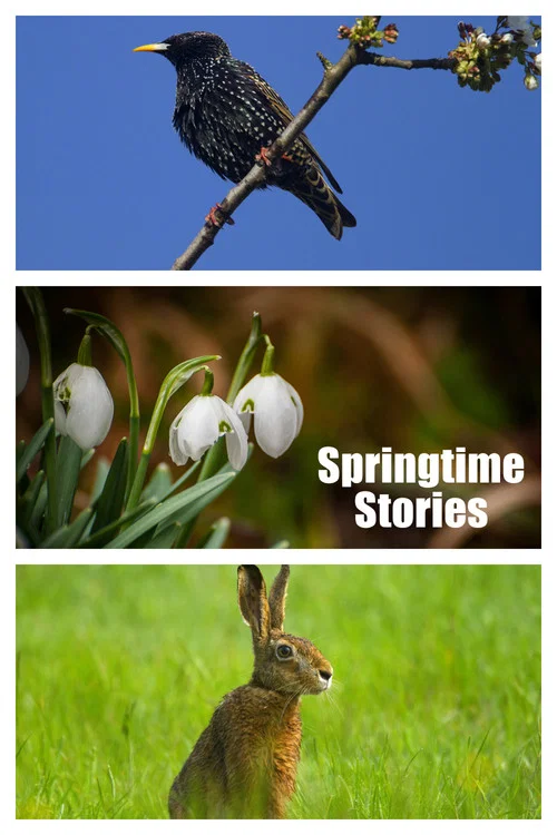 Fr&uuml;hlingswelten