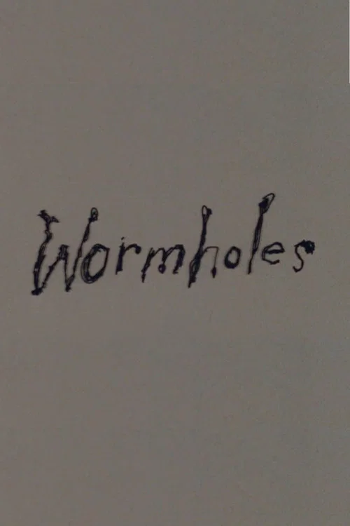 Wormholes