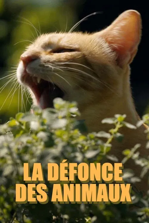 La d&eacute;fonce des animaux