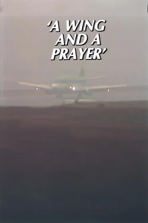 A Wing and a Prayer &ndash; The Story of Knock Airport