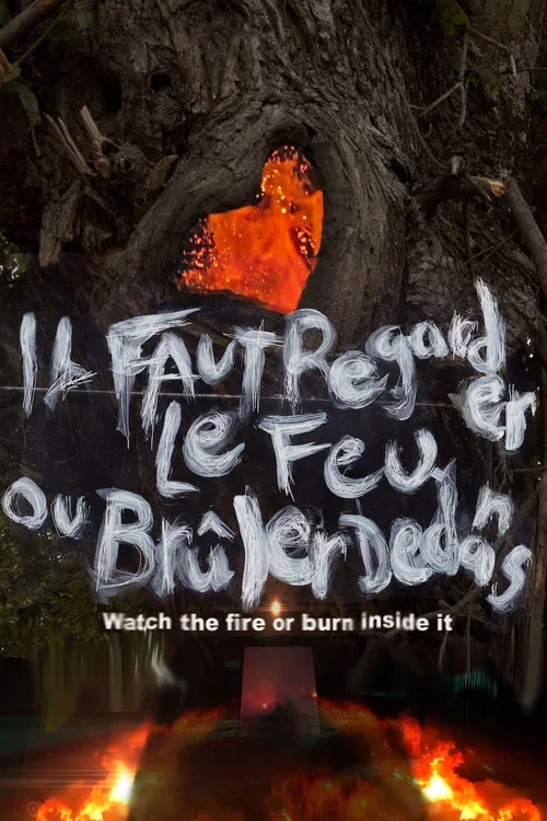 Il faut regarder le feu ou br&ucirc;ler dedans
