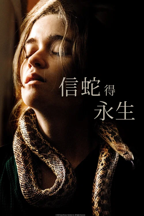 追随者