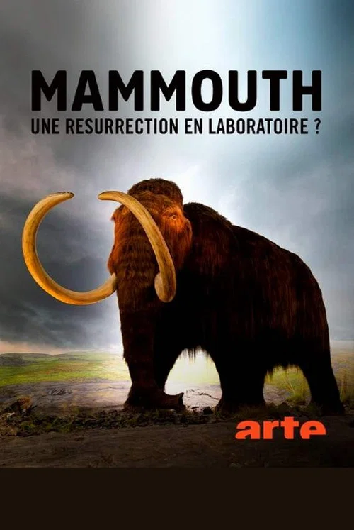 Ein Mammut-Projekt &ndash; Wiedergeburt ausgestorbener Arten