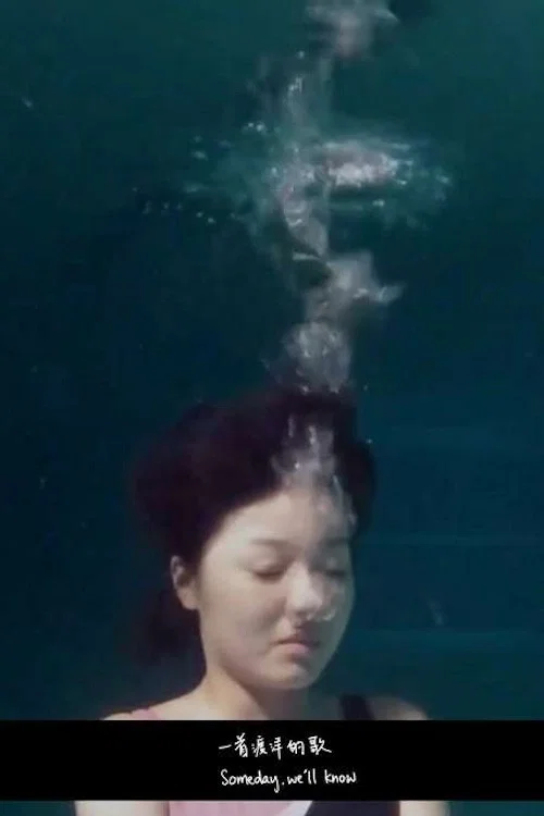 一首渡洋的歌