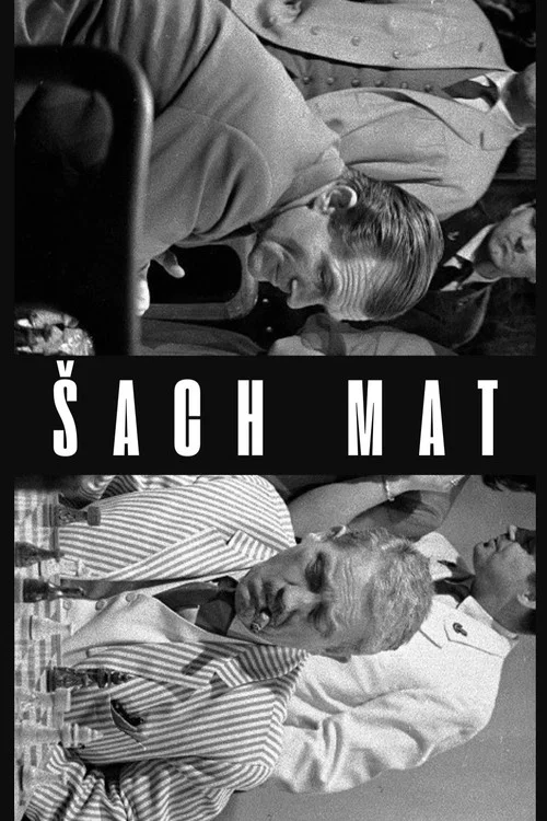 &Scaron;ach mat