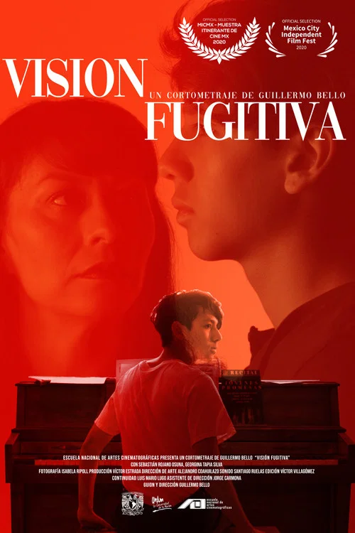 Visi&oacute;n Fugitiva