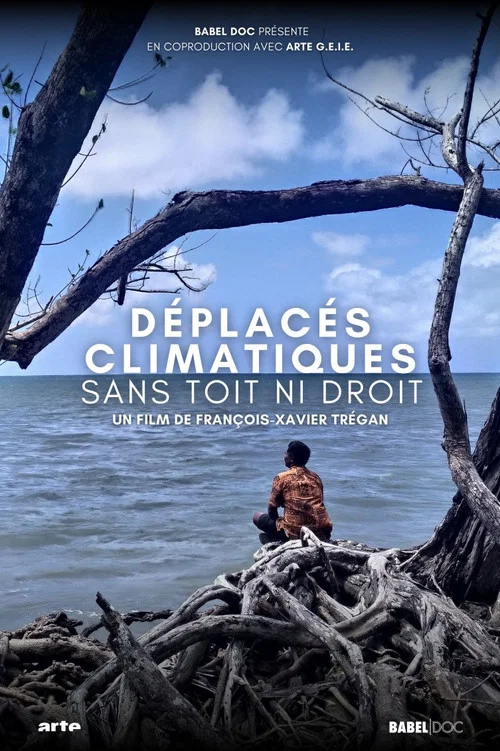 D&eacute;plac&eacute;s climatiques : sans toit ni droit