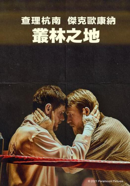 丛林之地