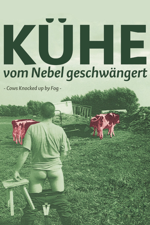 K&uuml;he, vom Nebel geschw&auml;ngert