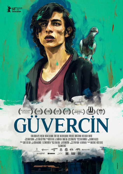 G&uuml;vercin