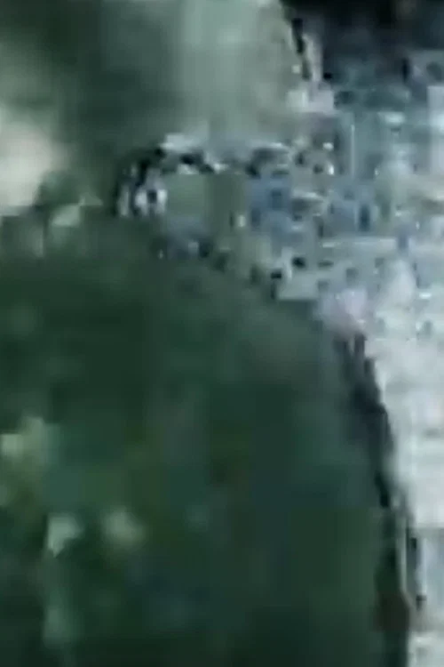 Man