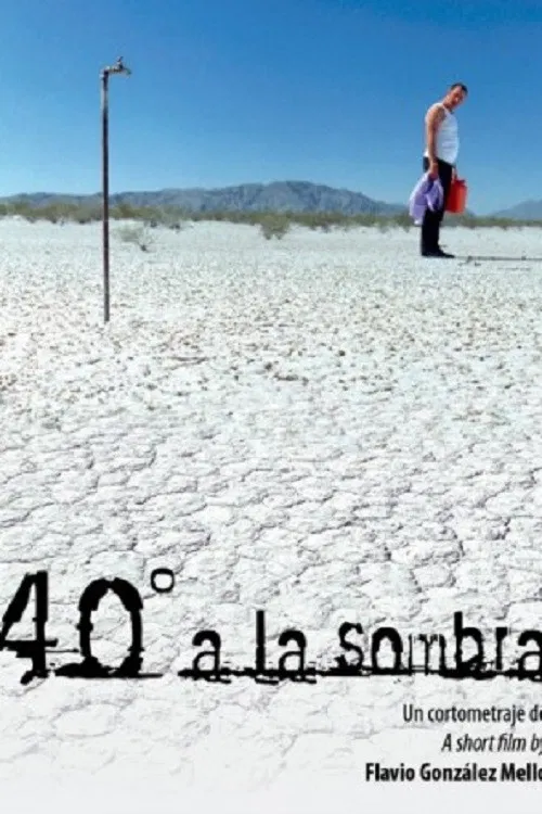 40&deg; a la sombra
