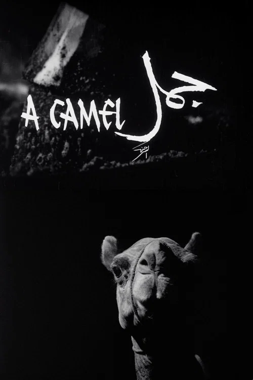 جمل&lrm;
