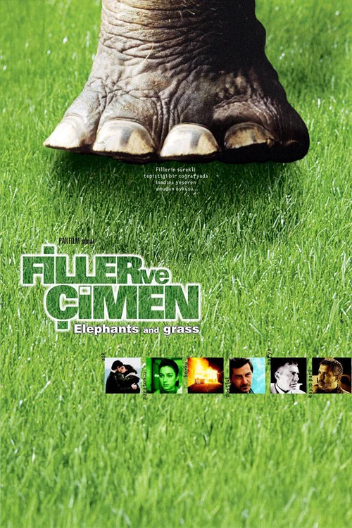 Filler ve &Ccedil;imen