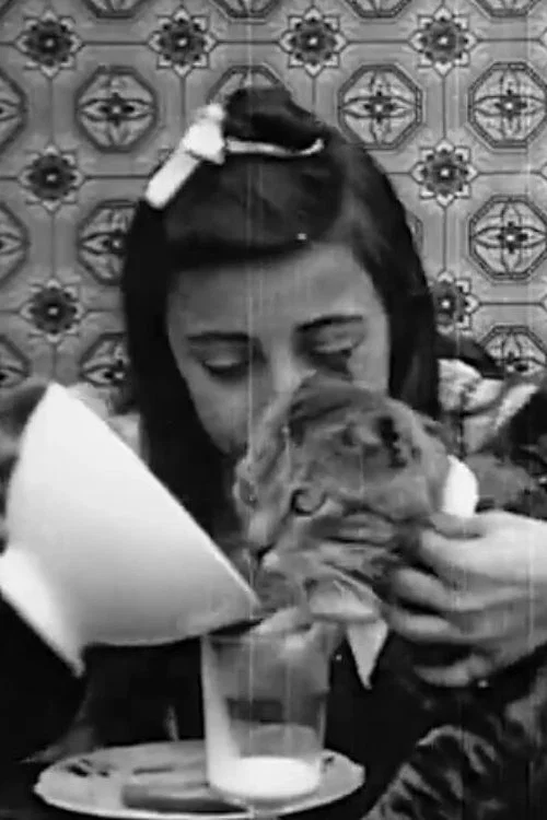 Le D&eacute;jeuner de Minet
