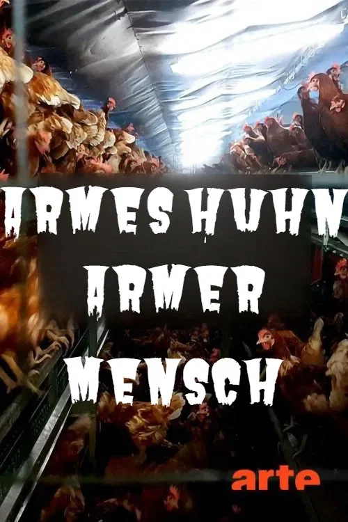 Armes Huhn &ndash; armer Mensch