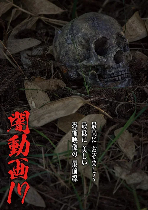 暗动画17
