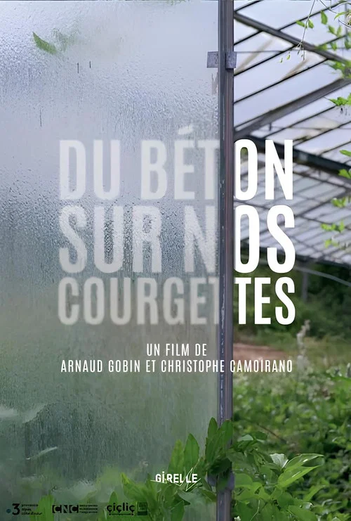 Du b&eacute;ton sur nos courgettes
