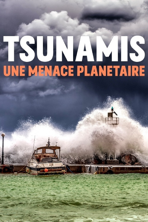 Tsunamis, une menace plan&eacute;taire