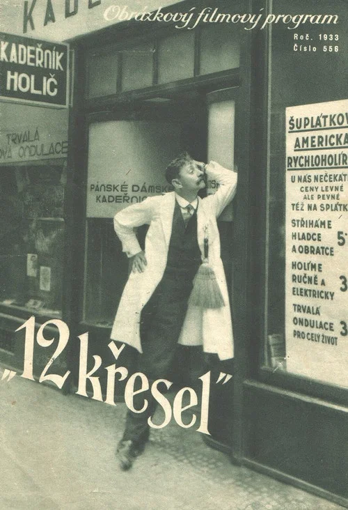 Dvan&aacute;ct křesel