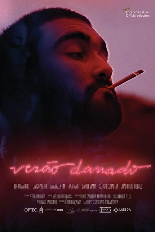 Ver&atilde;o Danado