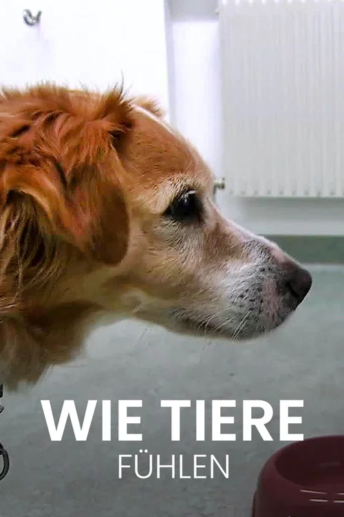 Wie Tiere f&uuml;hlen