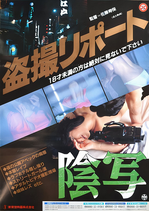 盗看报告书：阴写