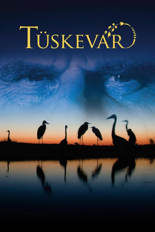 T&uuml;skev&aacute;r