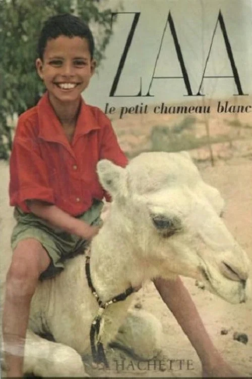 Zaa, petit chameau blanc