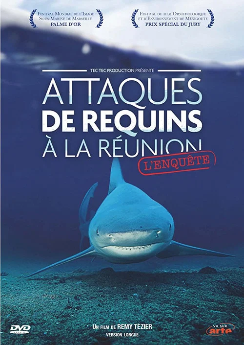 Attaques de Requins &agrave; La R&eacute;union : L'enqu&ecirc;te