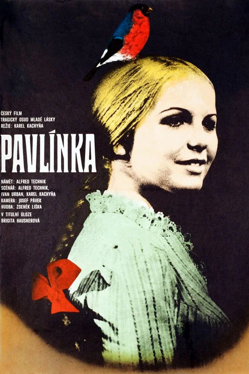 Pavl&iacute;nka