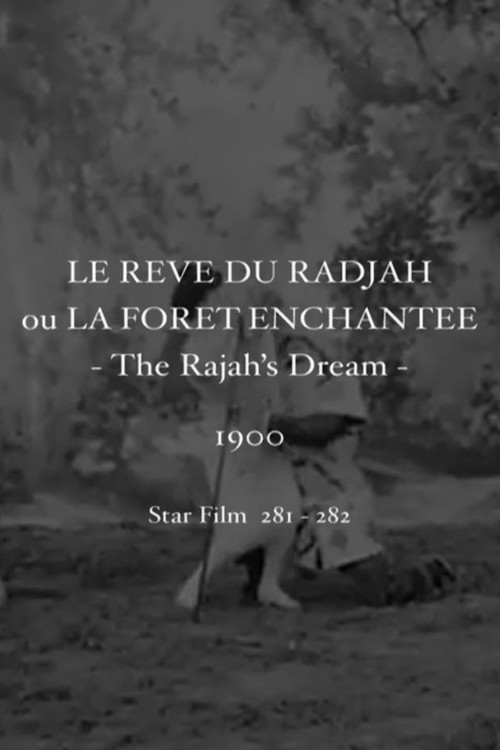 Le r&ecirc;ve du radjah ou La for&ecirc;t enchant&eacute;e