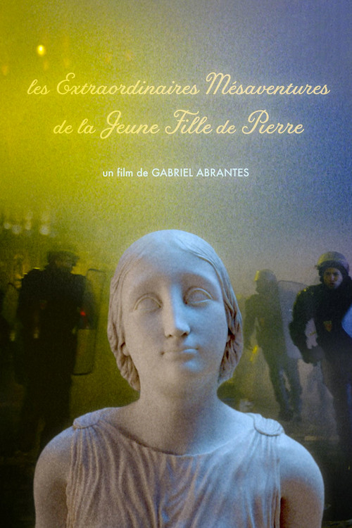 Les extraordinaires m&eacute;saventures de la jeune fille de pierre