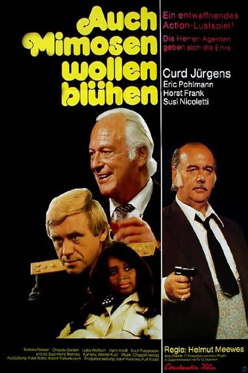 Auch Mimosen wollen bl&uuml;hen