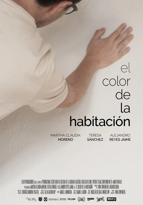 El color de la habitaci&oacute;n
