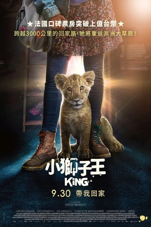 我的小狮王