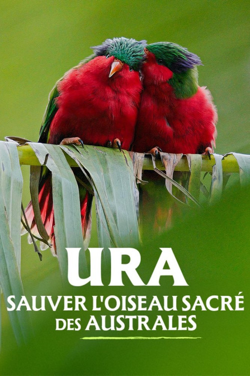 Ura, sauver l'oiseau sacr&eacute; des australes