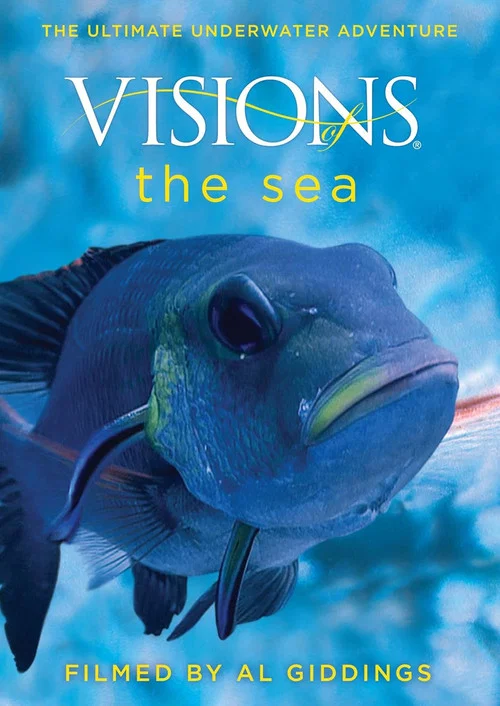 Visions of the Sea