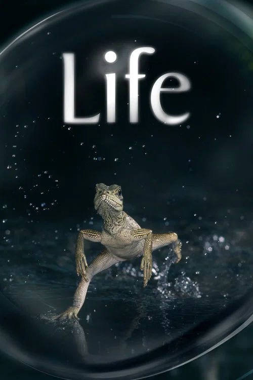 生命