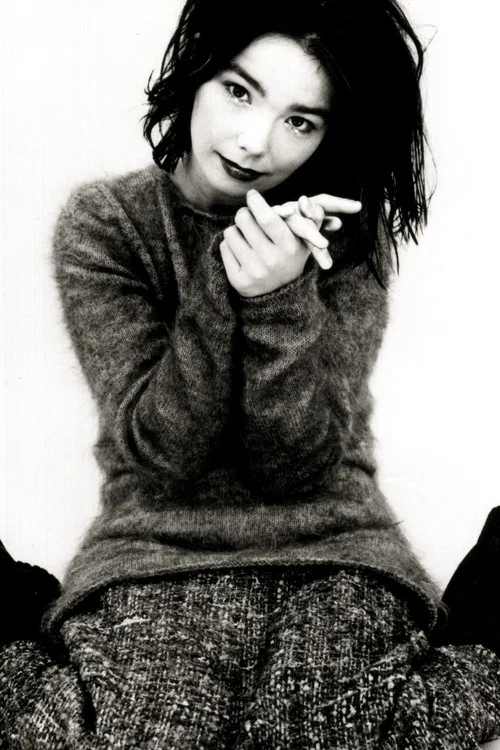 Bj&ouml;rk's Greatest Hits: Volumes 1993-2003