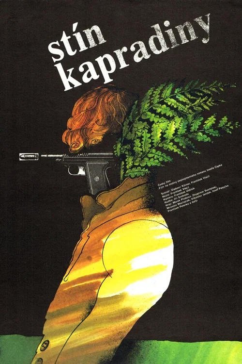 St&iacute;n kapradiny