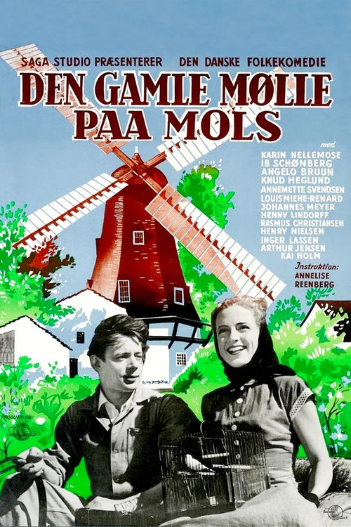 Den gamle m&oslash;lle paa Mols